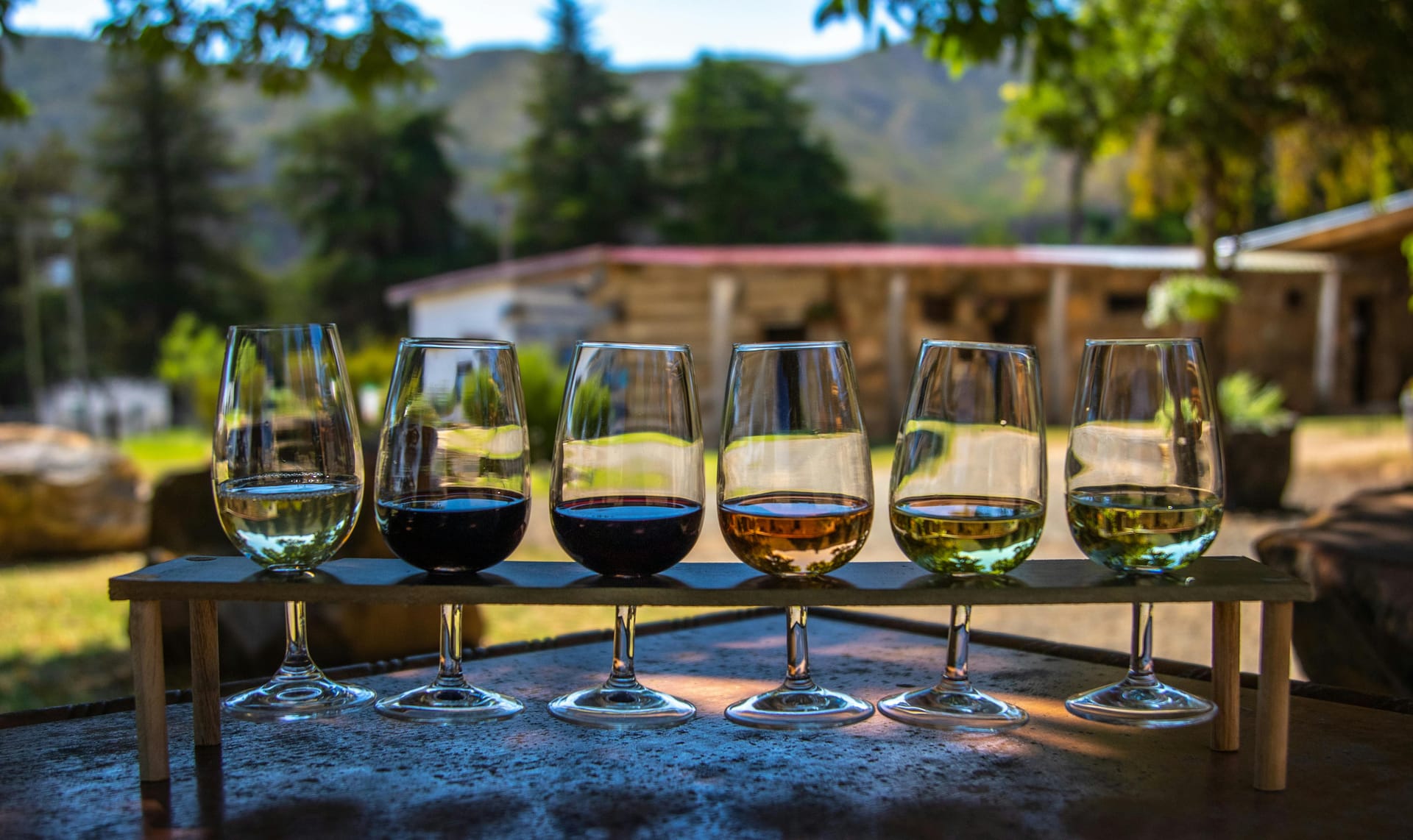 Best Wine Subscription Delivery Sacramento Services for Premium Wine Lovers