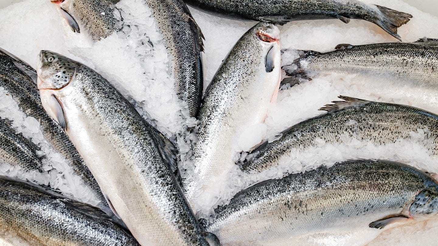 Seafood exporter Norway focused on premium king crab and Atlantic salmon exports
